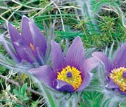 L�sshohlweg_Flyer 0122