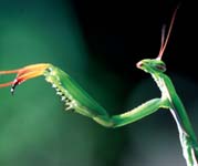 L�sshohlweg_Flyer 0123