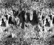 L�sshohlweg_Flyer 0124